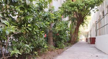 Hotel Casa Coloretta Miami Beach Exterior photo